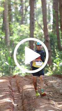 BIB:  <button type="button" onclick="openModal(26569571)" class="btn btn-primary btn-sm float-right" data-toggle="modal" data-target=".modal-high-quality">
                <i class="fa fa-download"></i> Download
                </button>